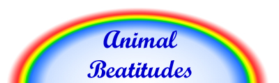 Animal Beatitudes