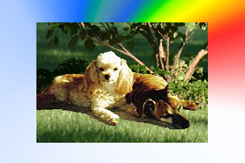 Chancey and Digby in the Rainbow