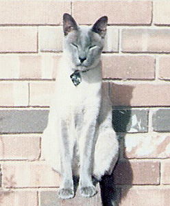 Max Posing on Railing